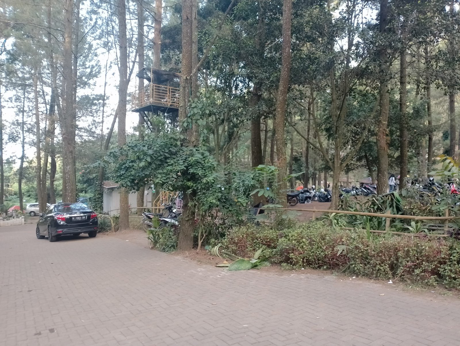 IMG 20230527 1605062 scaled