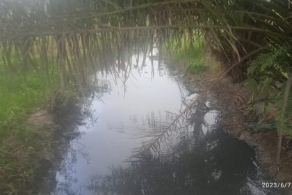 IMG 20230607 WA0093 1