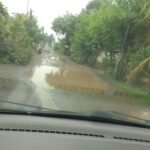 IMG 20241123 1149142