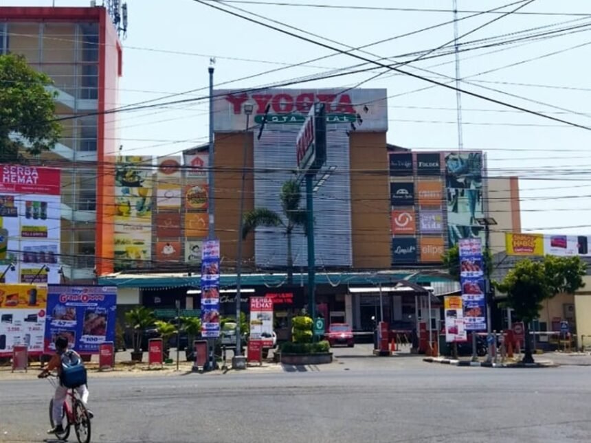 WhatsApp Image 2024 12 03 at 12.09.36