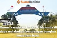 Penampakan PT. Karya Citra Nusantara (KCN) di kawasan industri terpadu berstatus berikat. (Foto: news.devilo.co).