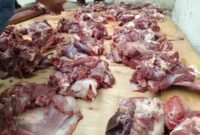 Daging hewan kurban milik PWI Pokja Wali Kota Jakbar yang siap dibagikan kepada pengurus maupun anggotanya. (Foto: Dok.PWI Pokja Wali Kota Jakbar/Ist).