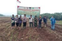 AKP Yono Taryono, SH. Kapolsek Rajeg Polresta Tangerang Polda Banten, yang didampingi Kanit Intel Aipda Adi,bpk Yogi (Dinas Pertanian),bpk Suherman (Kepala Desa),Bhabinkamtibmas Polsek Rajeg dan Babinsa serta Kelompok Tani melaksanakan kegiatan penanaman jagung kuartal IV.